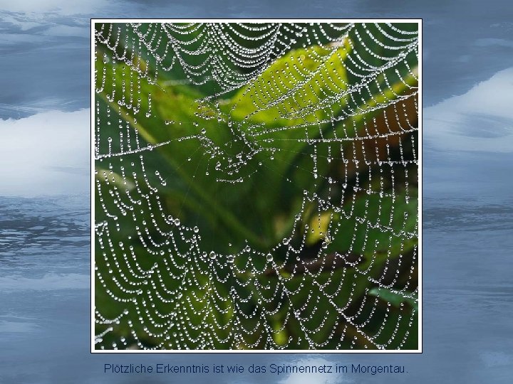 Plötzliche Erkenntnis ist wie das Spinnennetz im Morgentau. 