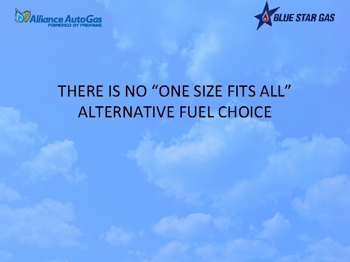 THERE IS NO “ONE SIZE FITS ALL” ALTERNATIVE FUEL CHOICE 