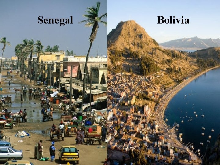 Senegal Bolivia 