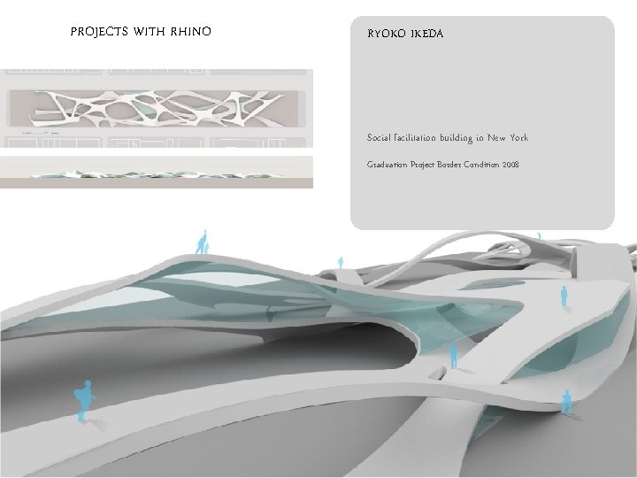 PROJECTS WITH RHINO RYOKO IKEDA Social facilitation building in New York Graduation Project Border