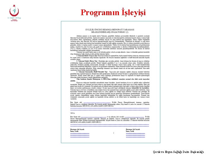 Programın İşleyişi Çocuk ve Ergen Sağlığı Daire Başkanlığı 