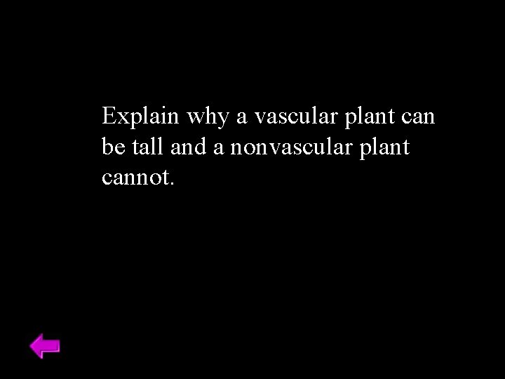 Explain why a vascular plant can be tall and a nonvascular plant cannot. 