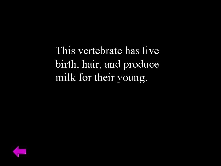 This vertebrate has live birth, hair, and produce milk for their young. 