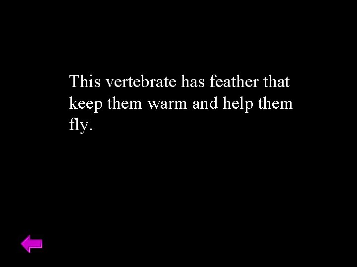 This vertebrate has feather that keep them warm and help them fly. 