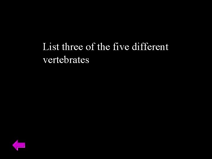 List three of the five different vertebrates 