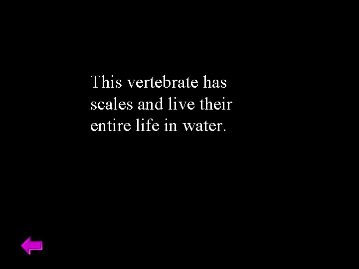 This vertebrate has scales and live their entire life in water. 