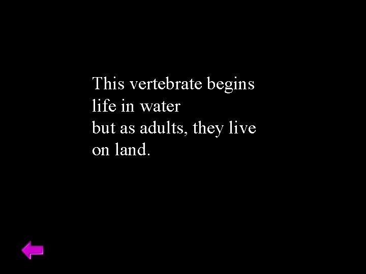 This vertebrate begins life in water but as adults, they live on land. 