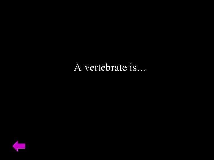 A vertebrate is… 