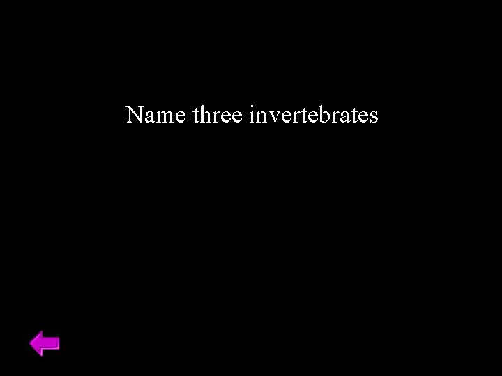 Name three invertebrates 