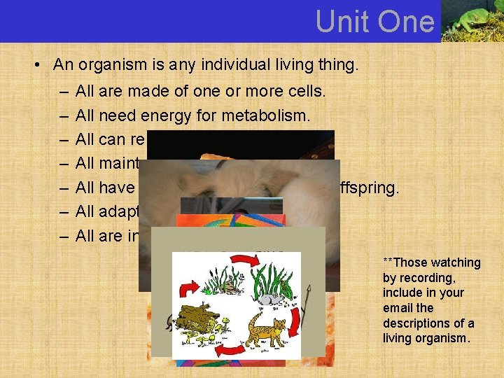 Unit One • An organism is any individual living thing. – – – –