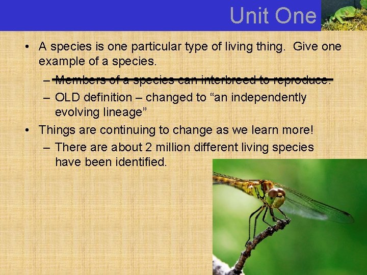 Unit One • A species is one particular type of living thing. Give one