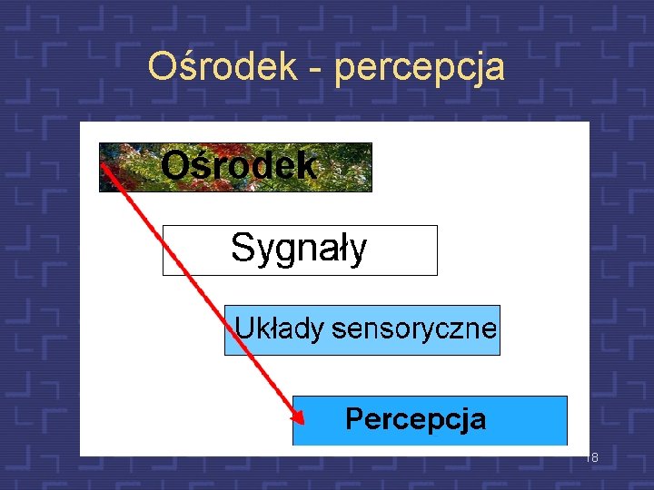 Ośrodek - percepcja 18 