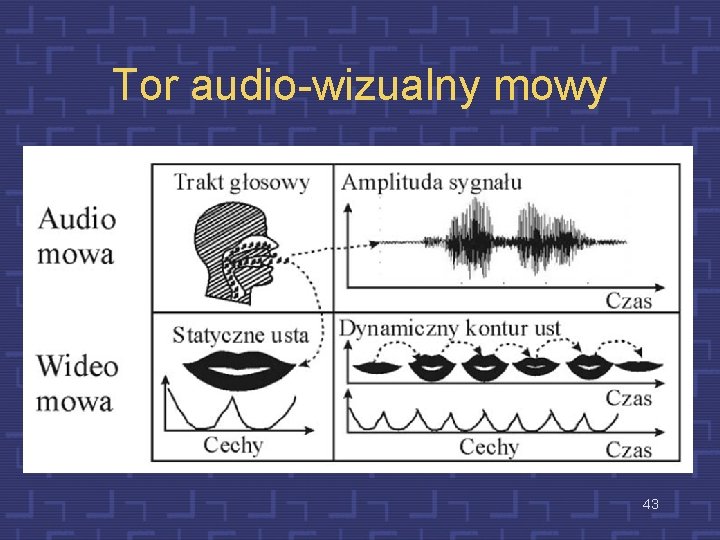 Tor audio-wizualny mowy 43 