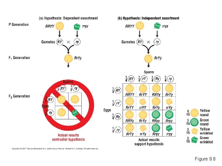 Figure 9. 8 Figure 9. 8