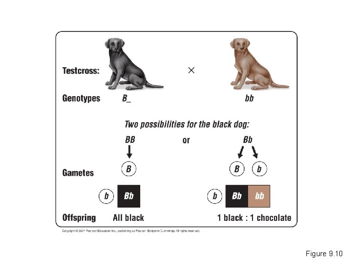 Figure 9. 10 Figure 9. 10