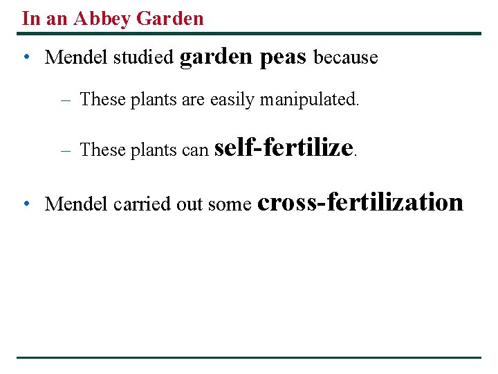 In an Abbey Garden • Mendel studied garden peas because – These plants are In an Abbey Garden • Mendel studied garden peas because – These plants are