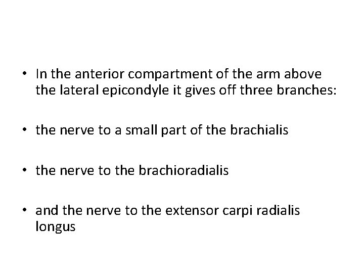  • In the anterior compartment of the arm above the lateral epicondyle it