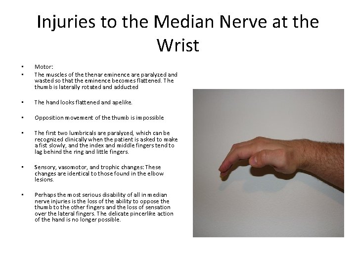 Injuries to the Median Nerve at the Wrist • • Motor: The muscles of