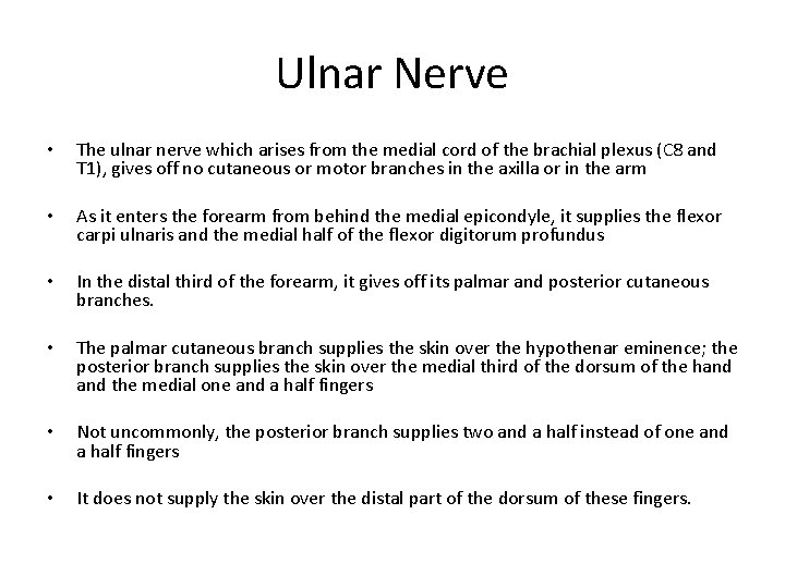 Ulnar Nerve • The ulnar nerve which arises from the medial cord of the