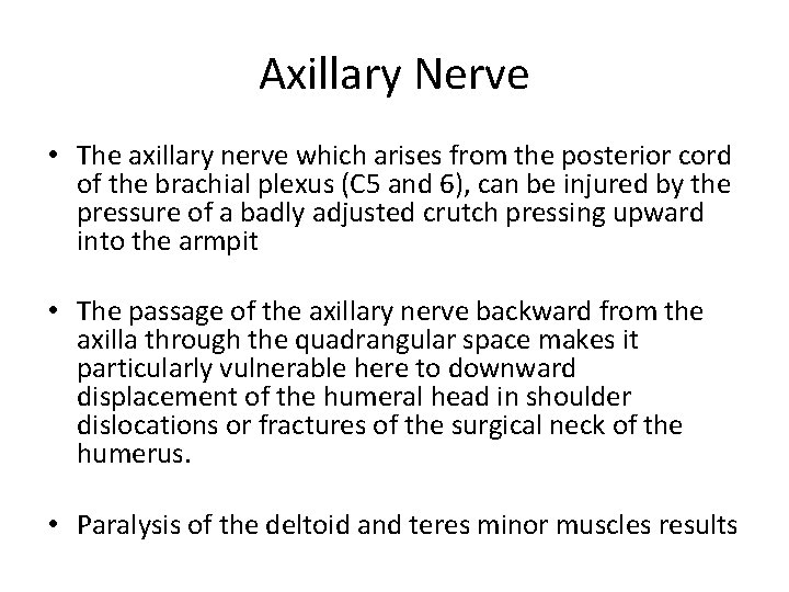Axillary Nerve • The axillary nerve which arises from the posterior cord of the