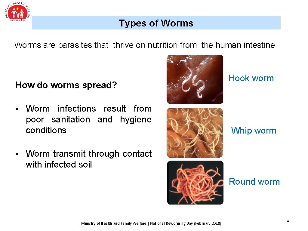 Types of Worms are parasites that thrive on nutrition from the human intestine How