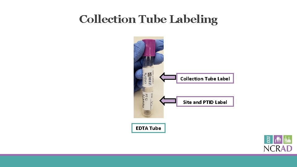 Collection Tube Labeling Collection Tube Label Site and PTID Label EDTA Tube 