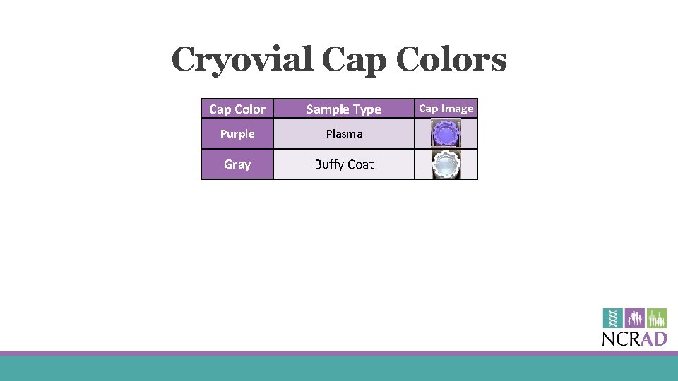 Cryovial Cap Colors Cap Color Sample Type Purple Plasma Gray Buffy Coat Cap Image