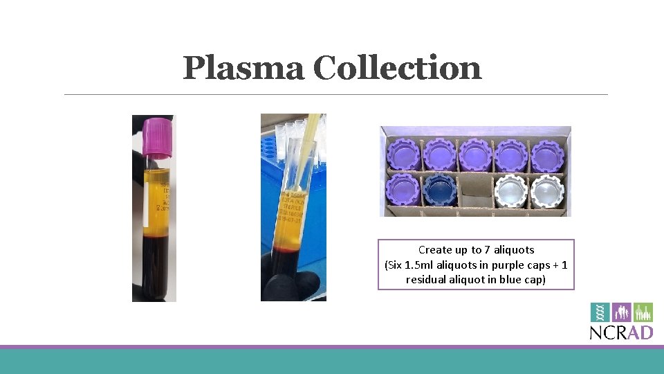 Plasma Collection Create up to 7 aliquots (Six 1. 5 ml aliquots in purple