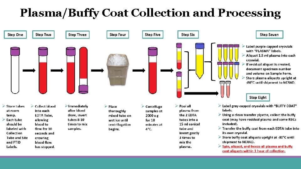 Plasma/Buffy Coat Collection and Processing 