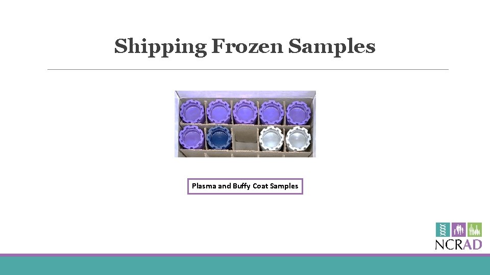 Shipping Frozen Samples Plasma and Buffy Coat Samples 