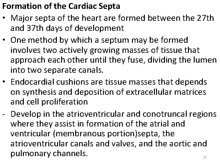 Formation of the Cardiac Septa • Major septa of the heart are formed between