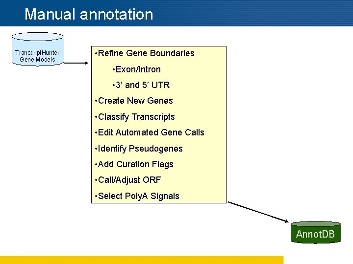 Manual annotation Transcript. Hunter Gene Models • Refine Gene Boundaries • Exon/Intron • 3’