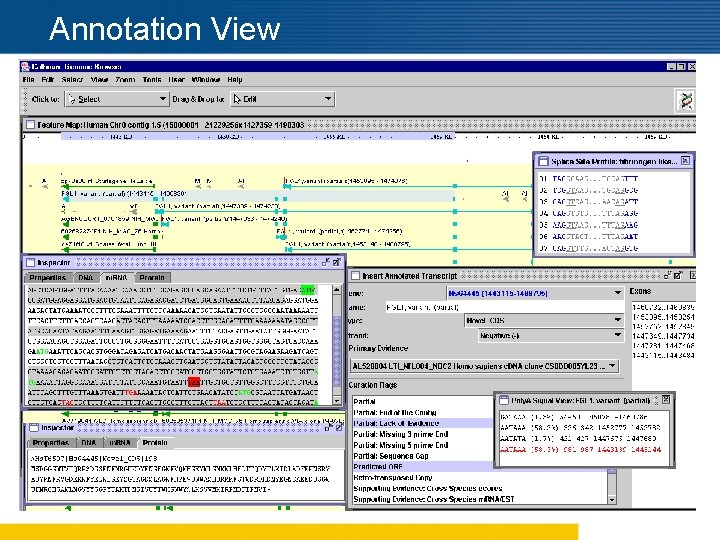 Annotation View 