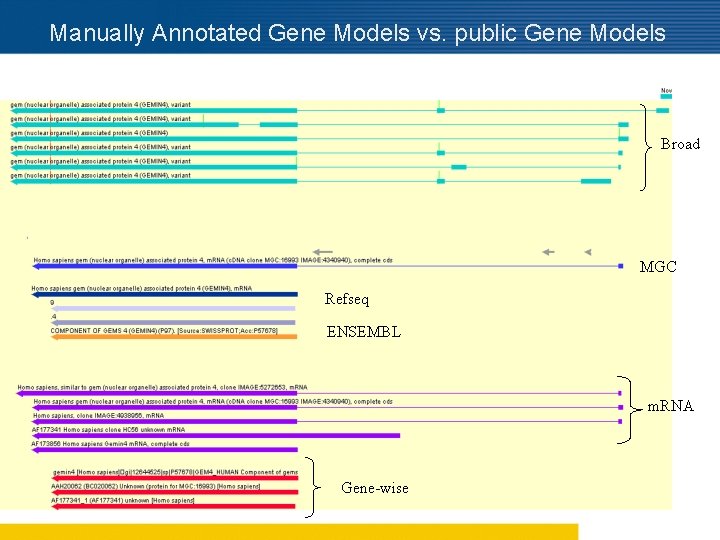 Manually Annotated Gene Models vs. public Gene Models Broad MGC Refseq ENSEMBL m. RNA