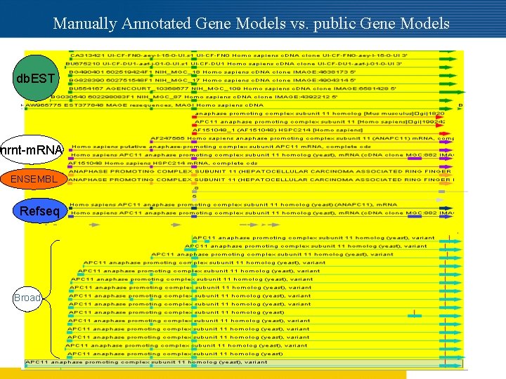 Manually Annotated Gene Models vs. public Gene Models Comparison of alternative splice forms between