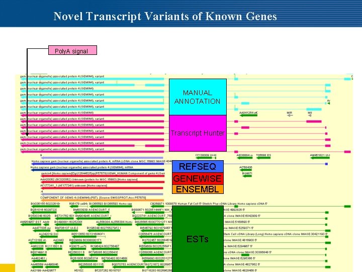 Novel Transcript Variants of Known Genes Poly. A signal MANUAL ANNOTATION Transcript Hunter REFSEQ