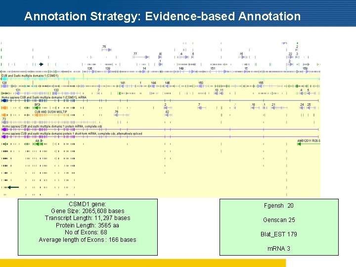 Annotation Strategy: Evidence-based Annotation CSMD 1 gene: Gene Size: 2065, 608 bases Transcript Length: