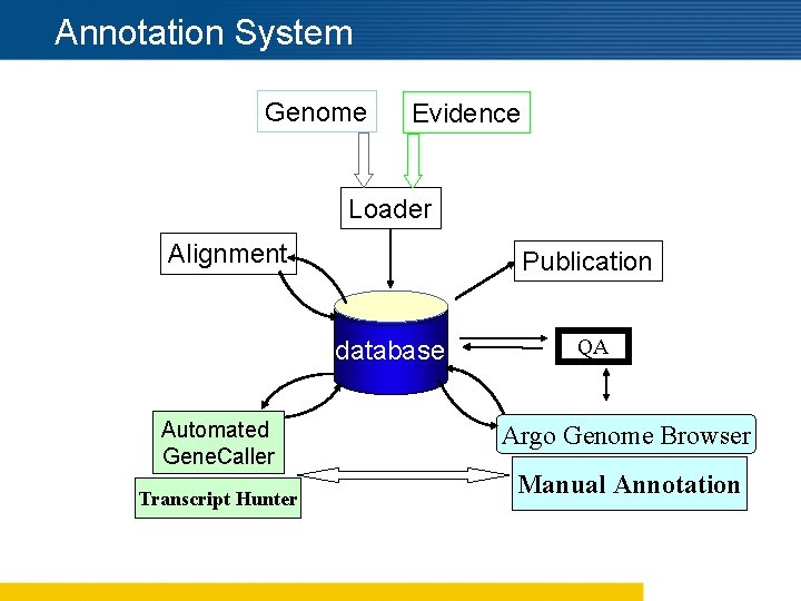 Annotation System Genome Evidence Loader Alignment Publication database Automated Gene. Caller Transcript Hunter QA