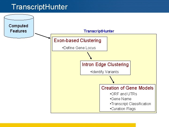 Transcript. Hunter Computed Features Transcript. Hunter Exon-based Clustering • Define Gene Locus Intron Edge