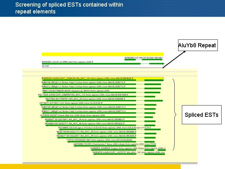 Screening of spliced ESTs contained within repeat elements Alu. Yb 8 Repeat Spliced ESTs
