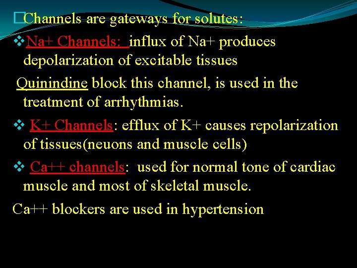�Channels are gateways for solutes: v. Na+ Channels: influx of Na+ produces depolarization of