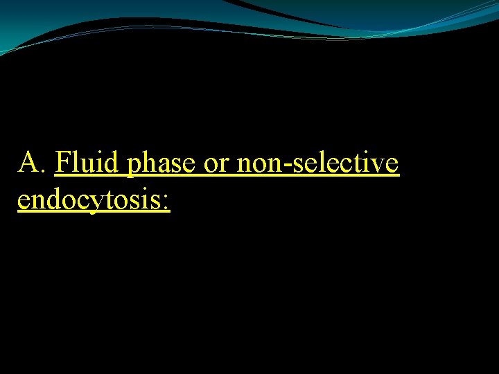 A. Fluid phase or non-selective endocytosis: 