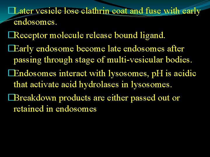 �Later vesicle lose clathrin coat and fuse with early endosomes. �Receptor molecule release bound