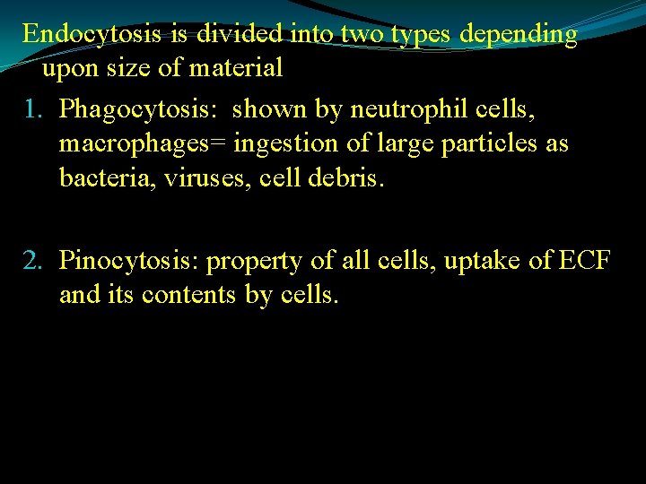 Endocytosis is divided into two types depending upon size of material 1. Phagocytosis: shown