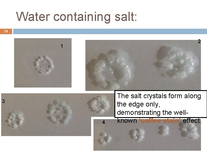 Water containing salt: 24 2 1 3 4 The salt crystals form along the