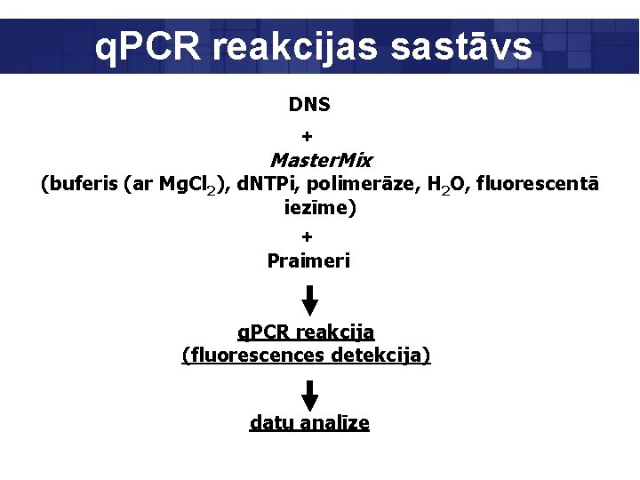 q. PCR reakcijas sastāvs DNS + Master. Mix (buferis (ar Mg. Cl 2), d.
