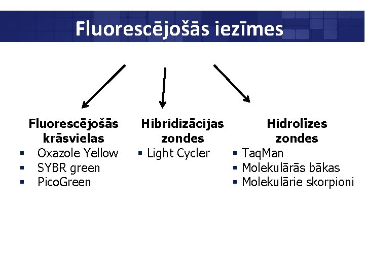 Fluorescējošās iezīmes Fluorescējošās krāsvielas § Oxazole Yellow § SYBR green § Pico. Green Hibridizācijas