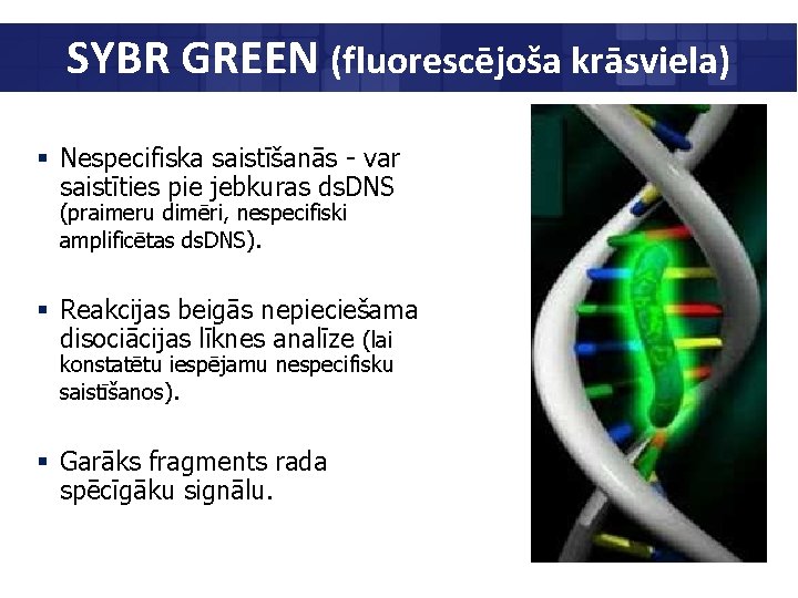 SYBR GREEN (fluorescējoša krāsviela) § Nespecifiska saistīšanās - var saistīties pie jebkuras ds. DNS