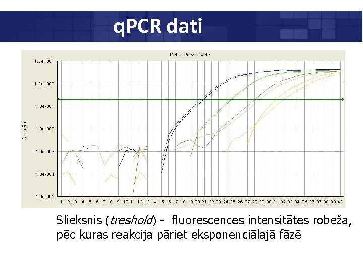 q. PCR dati Slieksnis (treshold) - fluorescences intensitātes robeža, pēc kuras reakcija pāriet eksponenciālajā