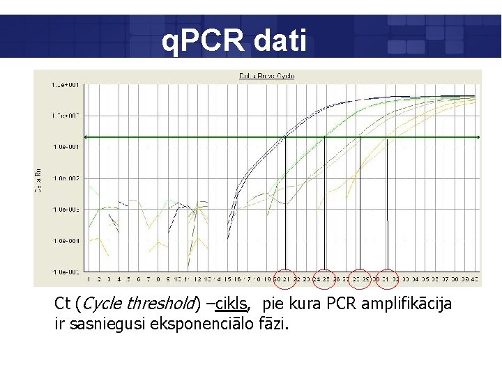 q. PCR dati Ct (Cycle threshold) –cikls, pie kura PCR amplifikācija ir sasniegusi eksponenciālo